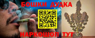 mdpv Бердск