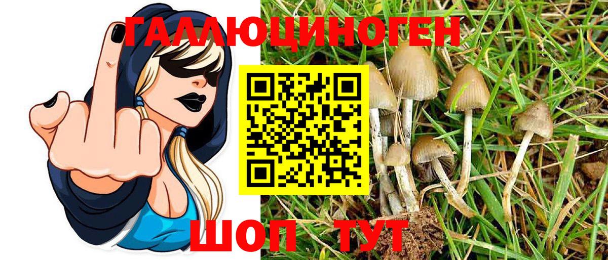 Артёмовский  Псилоцибиновые грибы MAGIC MUSHROOMS  даркнет сайт  Вход с VPN 