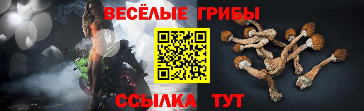 Псилоцибиновые грибы мицелий Артёмовский